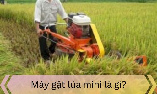 Máy gặt lúa mini là gì?