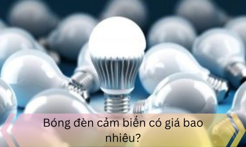 Bóng đèn cảm biến có giá bao nhiêu?