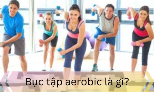 Bục tập aerobic là gì?