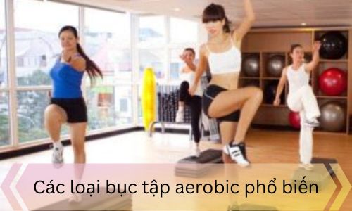 Các loại bục tập aerobic phổ biến
