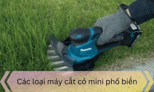 Các loại máy cắt cỏ mini phổ biến