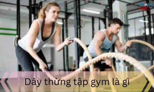 Dây thừng tập gym là gì?