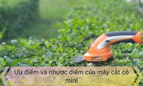 Ưu điểm và nhược điểm của máy cắt cỏ mini